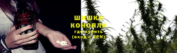 спиды Белокуриха